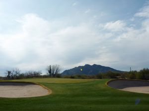 Desert Forest 13th