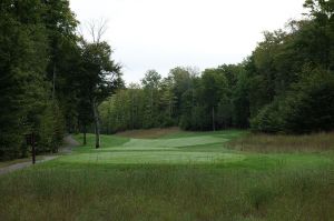 True North 7th Tee